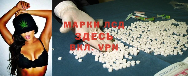 шишки Баксан