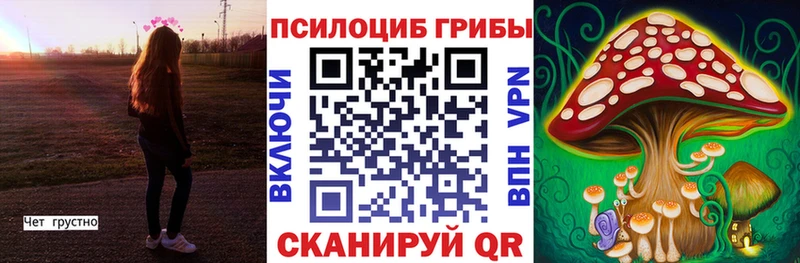 Галлюциногенные грибы мицелий  Нея 