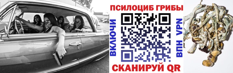 Псилоцибиновые грибы Magic Shrooms Нея